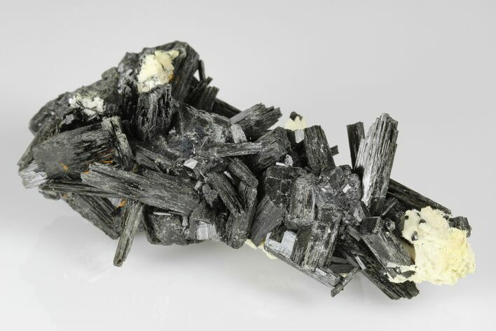 3.6" Black Tourmaline (Schorl) Crystals with Orthoclase - Namibia